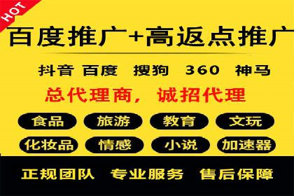 竞价推广策略：某电商平台的成功之路